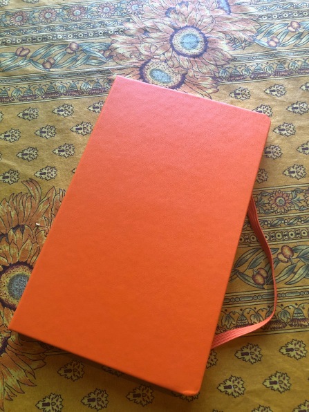 orange diary